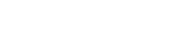 Timisoara Smart City